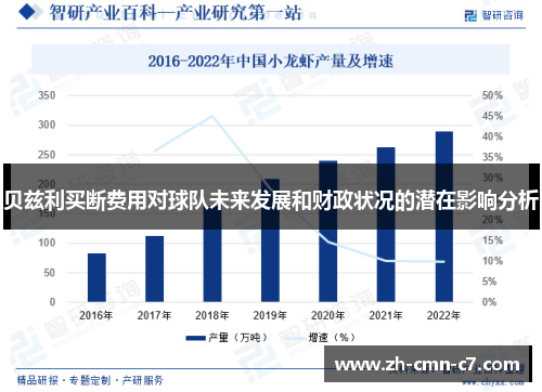 贝兹利买断费用对球队未来发展和财政状况的潜在影响分析