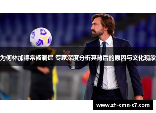 为何林加德常被调侃 专家深度分析其背后的原因与文化现象