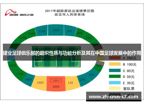 建业足球俱乐部的组织性质与功能分析及其在中国足球发展中的作用