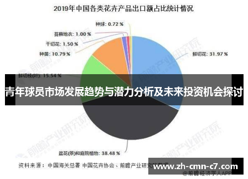 青年球员市场发展趋势与潜力分析及未来投资机会探讨